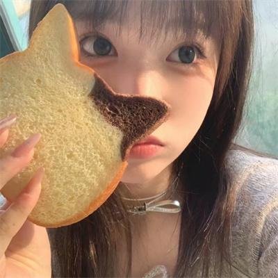 宝藏猎人
