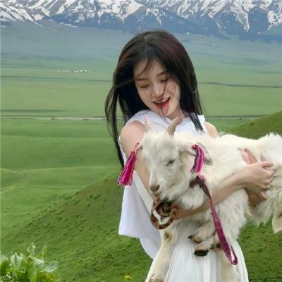 全职高手第一季